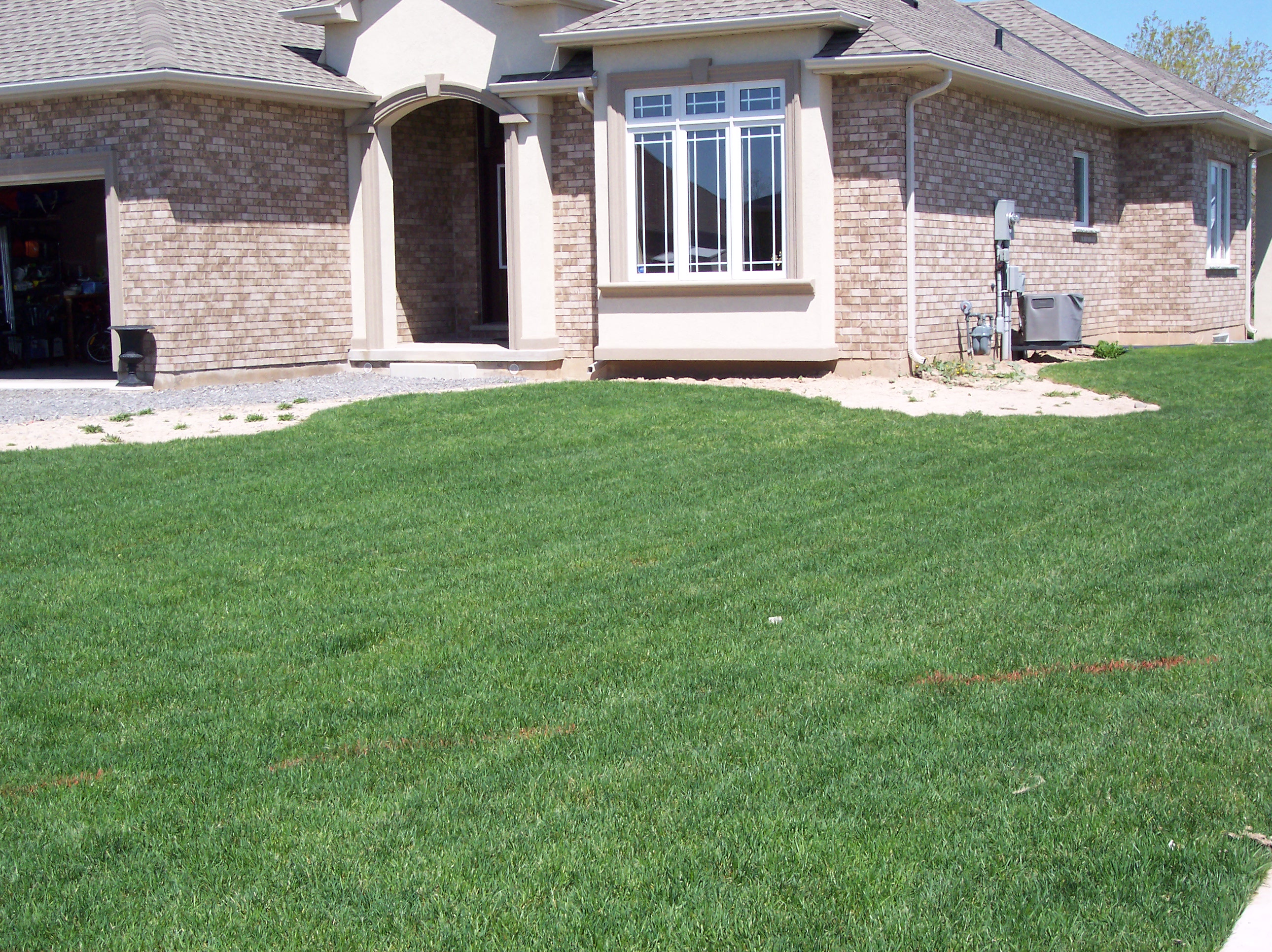 How early and how late in the season may you lay sod?